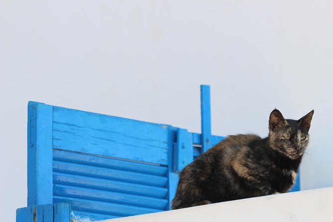 Private Tour: Mykonos Island in Half a Day - Food and Drinks: What’s Included vs What You’ll Add