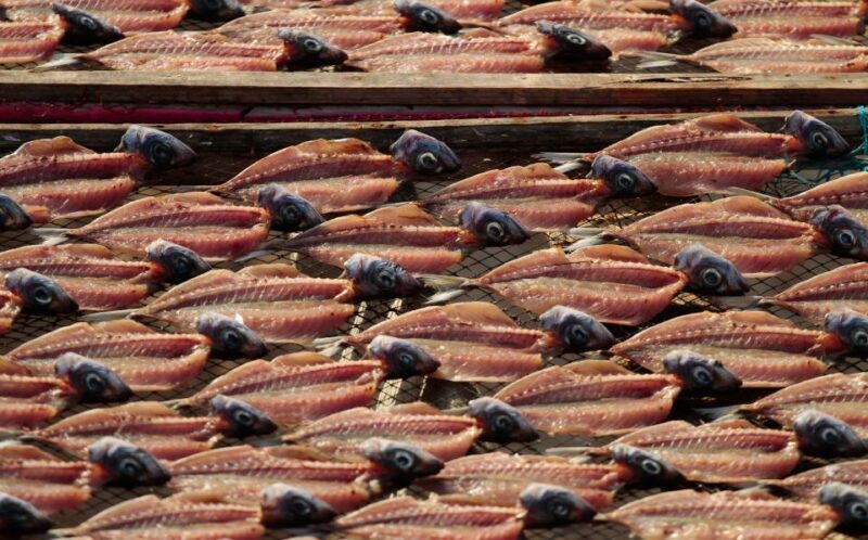 Private Tour - Nazaré Waves and Village from Lisbon - FAQs