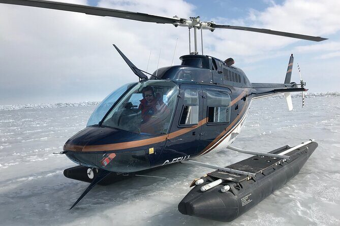 Private Tour: Niagara Falls Helicopter Flight - The Experience at a Glance: What You Can Expect