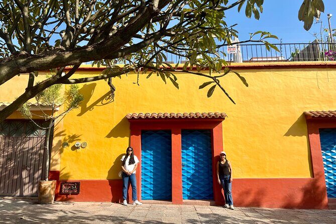 Private Tour Oaxaca City 2 hours - Best Rated - The Experience in Practice