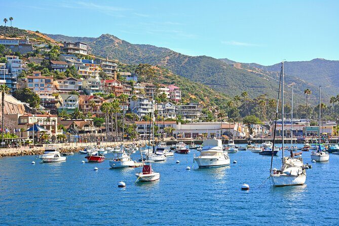 Private Tour of Avalon from Catalina Island - The Experience: What You Can Expect