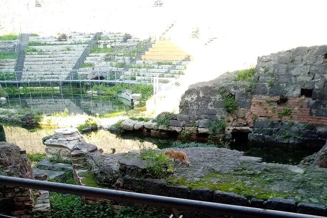 Private tour of Catania and the Riviera of the Cyclops - Starting in Catanias Historic Center