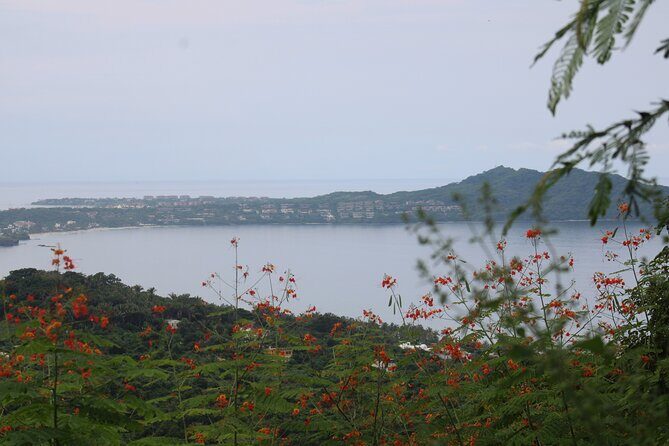 Private Tour of Cerro del Mono - FAQ