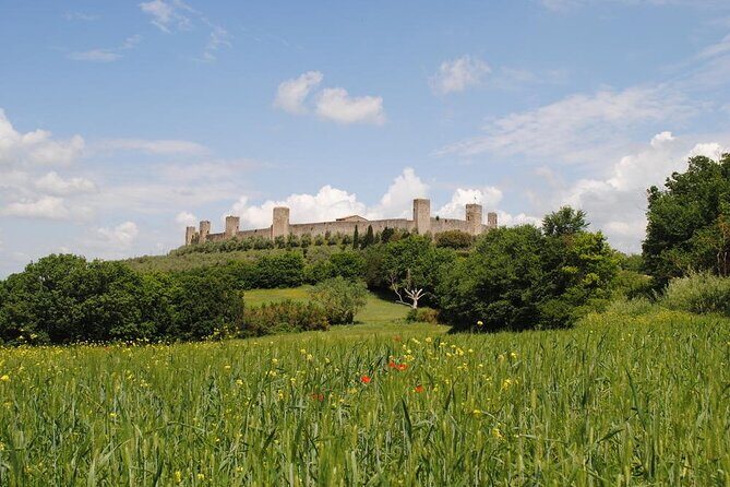 Private Tour Of Chianti with Wine Tastings - Frequently Asked Questions