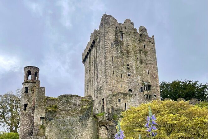 Private tour of Cobh, Blarney Castle,Jameson distillery. - Who Should Consider This Tour?