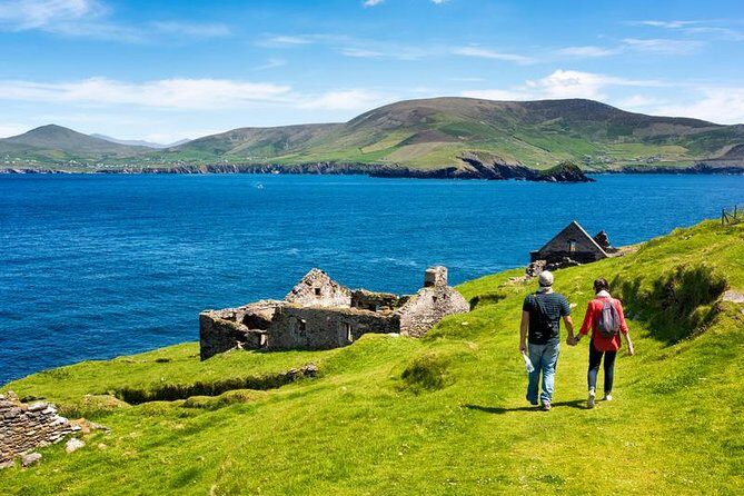 Private tour of Dingle and Slea Head with accredited guide - Potential Drawbacks and Considerations