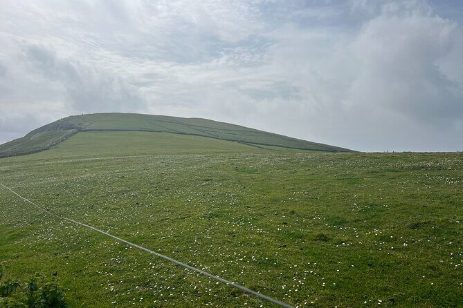 Private Tour of Dingle Peninsula from Killarney - Who Would Love This Tour?