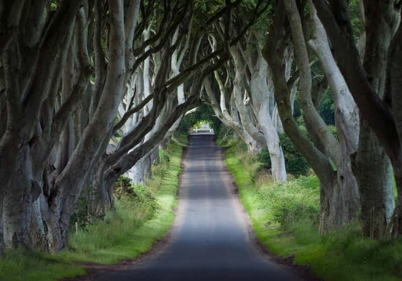Private Tour of Game of Thrones Filming Locations Ireland - An Intimate Look at the Tour Itself