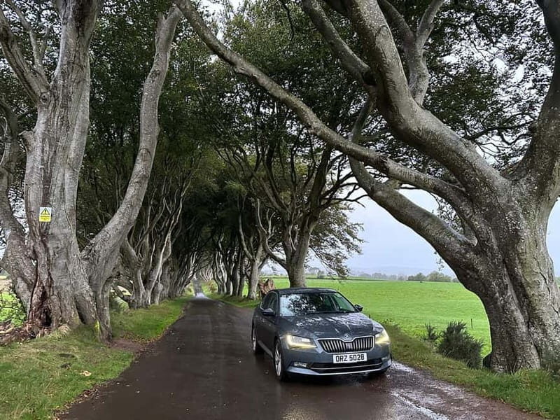 Private Tour of Game of Thrones Filming Locations Ireland - Who Should Consider This Tour?