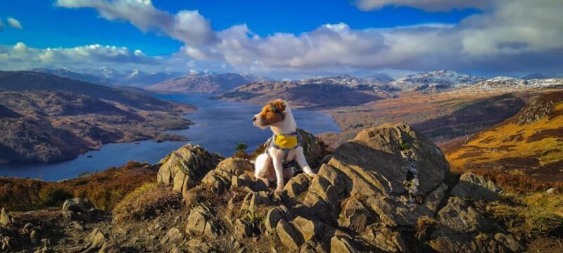 Private Tour of Highlands, Lochs & Castles from Edinburgh - Who Is This Tour For?