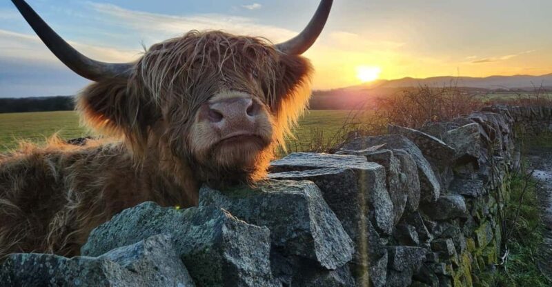 Private Tour of Highlands, Lochs & Castles from Edinburgh - Frequently Asked Questions