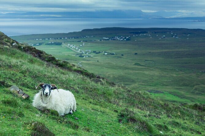 Private Tour of Loch Ness, Glencoe and Highlands from Glasgow - Who Is This Tour Best For?