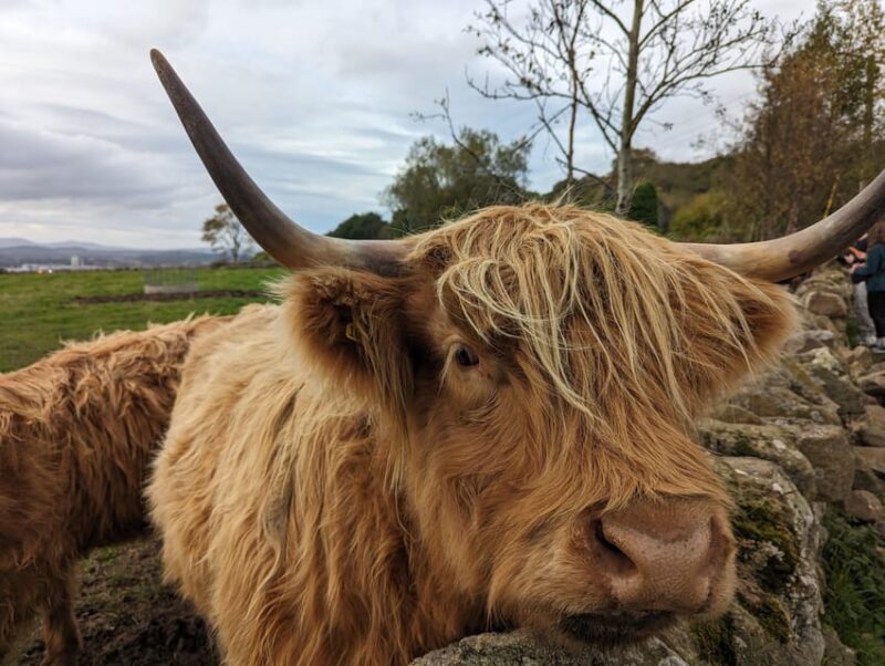 Private Tour of Loch Ness, Pitlochry, Glencoe and Highlands - Final Thoughts