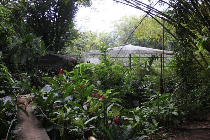 Private tour of magical waterfalls huatulco HT - The Experience: What to Expect from Start to Finish