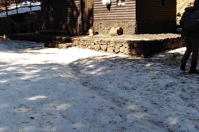 Private tour of Mount Etna and the Alcantara Gorges - Who Should Consider This Tour?