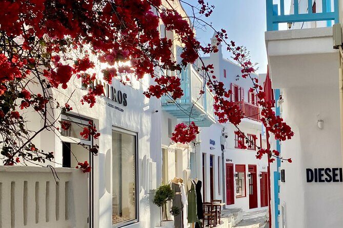 Private Tour Of Mykonos Included Town - The Experience: What Travelers Say