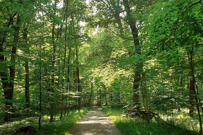 Private Tour of Nymphenburg Palace and Gardens - FAQs