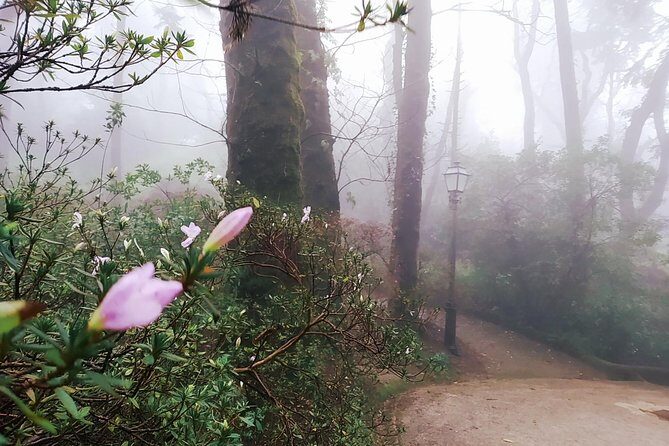 Private tour of Pena palace and Quinta da Regaleira - FAQs