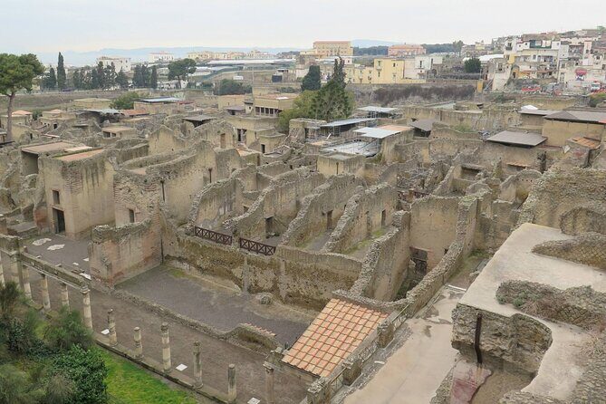 Private Tour of Pompeii, Herculaneum and Vesuvius from Naples - Practical Aspects and What to Expect