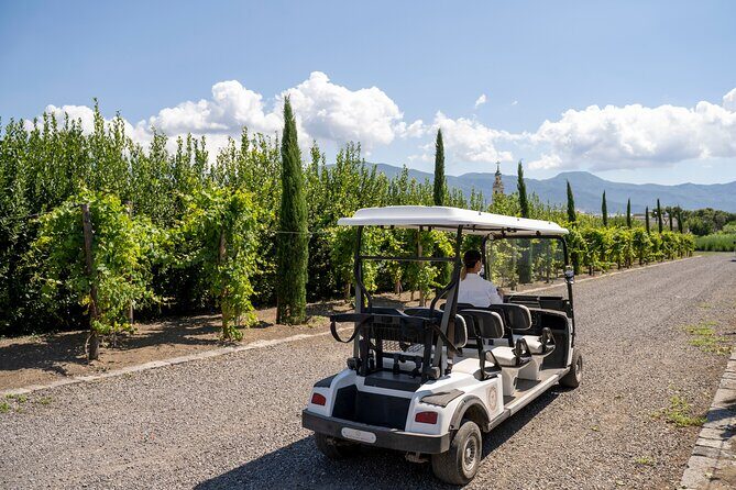 Private tour of Pompeii Ruins, Organic Wine tasting and Lunch - Who Should Consider This Tour?