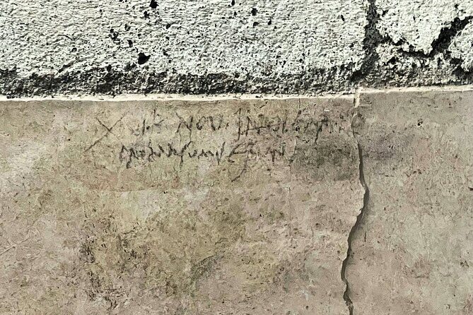 Private Tour of Pompeii with Skip-the-Line Access - Who Is This Tour Best Suited For?