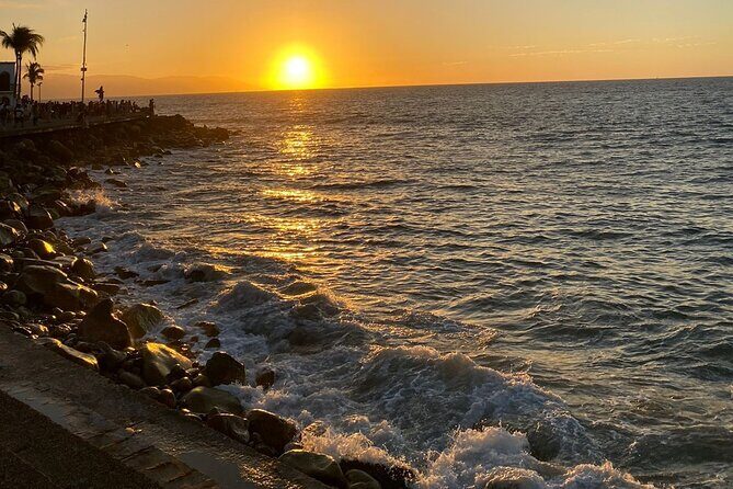 Private Tour of Puerto Vallarta and the Subtropical Forest - Final Thoughts