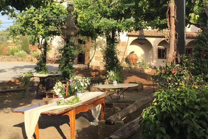 Private Tour of Roman Countryside with Winetasting and Lunch - Why Consider a Countryside Wine Tour Near Rome?