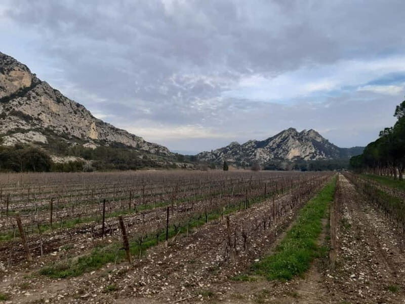 Private tour of the Alpilles, wine tastings, and local restaurant - Key Points