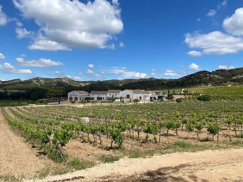 Private tour of the Alpilles, wine tastings, and local restaurant - Vineyard Visits and Tastings