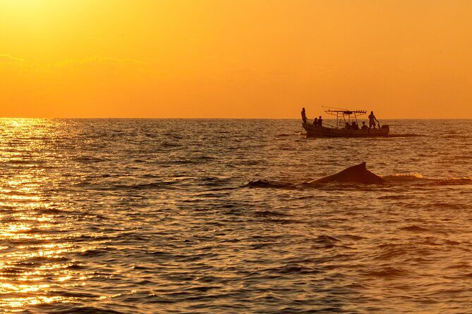 Private Tour of the Beaches of Puerto Escondido in Lancha - Key Points