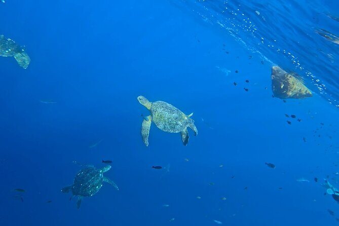 Private Tour of the Beaches of Puerto Escondido in Lancha - Final Thoughts