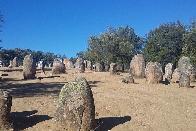 Private Tour of the History of Évora - Who Should Book This Tour?
