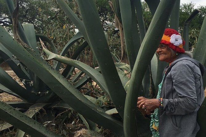 Private Tour of the Mezcal Route with Ancestral Drinks - Downsides or Considerations