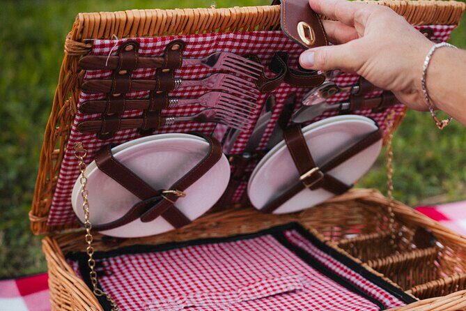 Private Tour of the Prosecco Hills in a vintage 500 - The Experience of Driving a Vintage Fiat 500