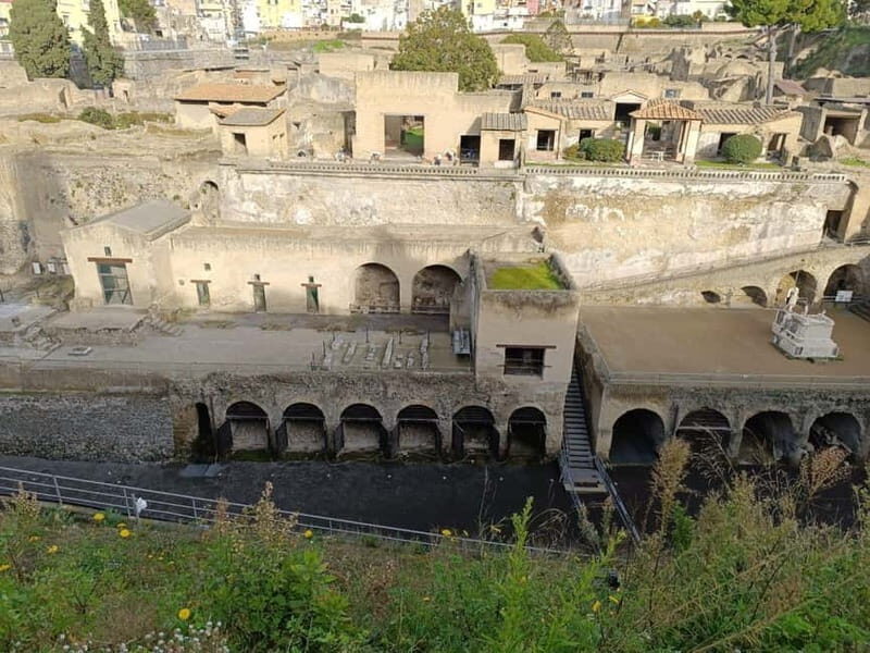 Private Tour of the Ruins of Herculaneum and Vesuvius: with Tickets Included - Practical Details