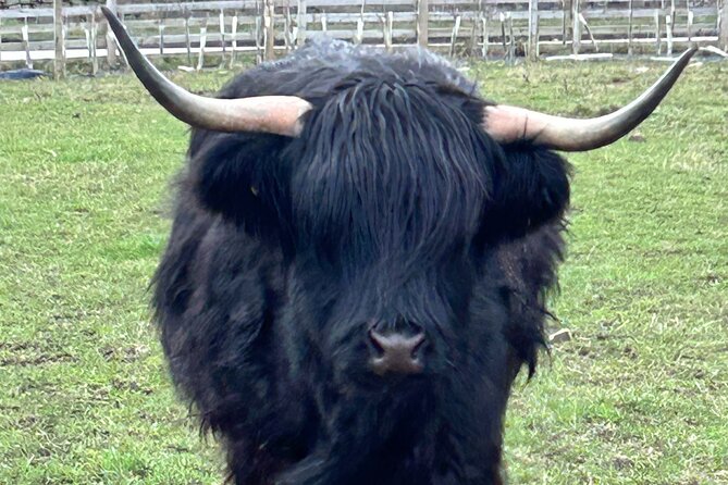 Private Tour of the Scottish Highlands from Edinburgh - Stop 4: Inveraray Castle and Gardens for a real castle you can still visit