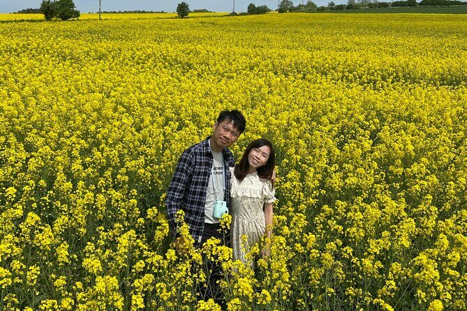 Private tour of the stunning Cotswolds with an expert local guide - Who Is This Tour Best For?