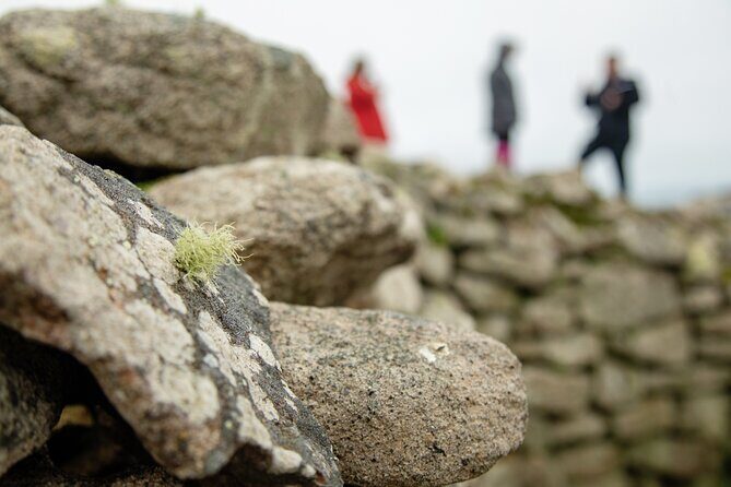 Private Tour of West Cornwall - Highly Varied Full Day Experience - Practical Details & Considerations