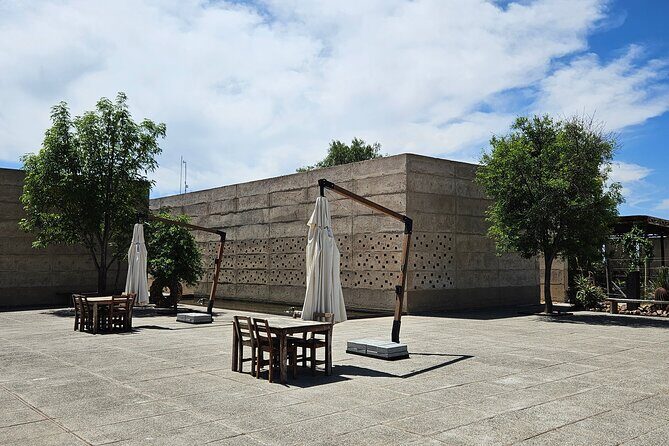 Private Tour of Wineries in San Miguel - Is It Worth the Price?