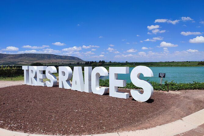 Private Tour of Wineries in San Miguel - Frequently Asked Questions