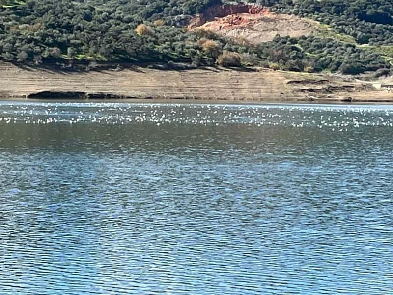 Private Tour, Olive Mill, Scotino Cave, Lasithi Plateau H/D - FAQs