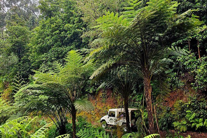 Private Tour on Madeira Island (max 6 people) - Who Is This Tour Best For?