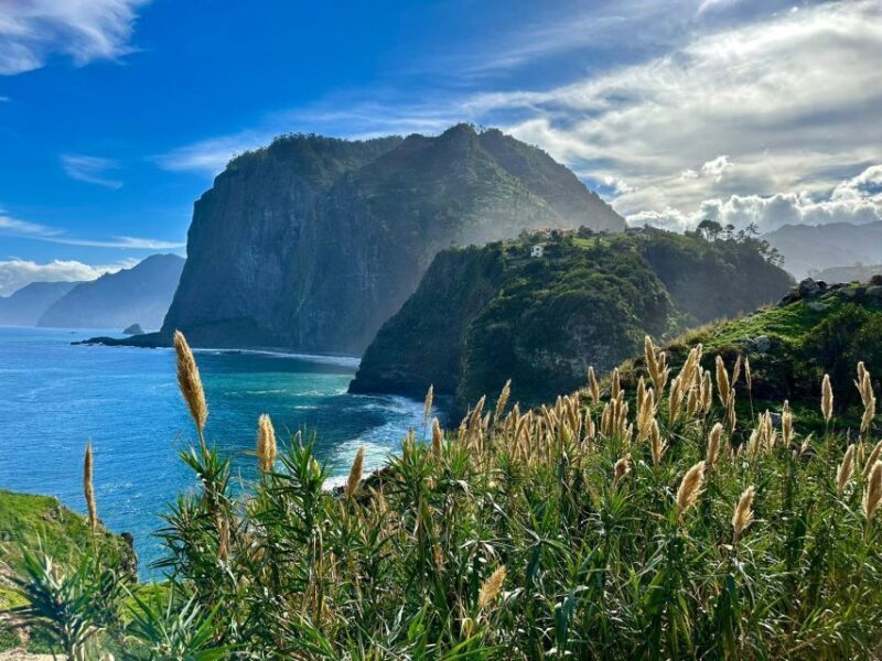 Private Tour on Madeira Island - Is This Tour Worth It?