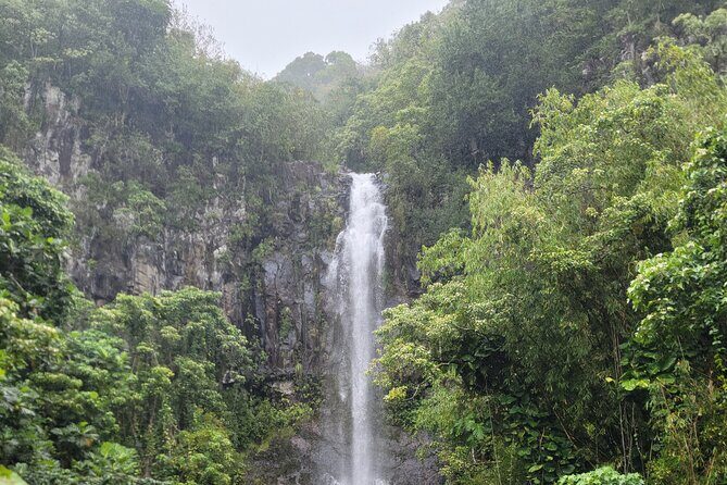 Private Tour on Maui with Luxury Mercedes S-Class - Who Should Consider This Tour?