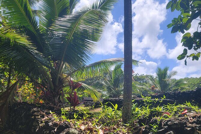 Private Tour on Maui with Luxury Mercedes S-Class - FAQ