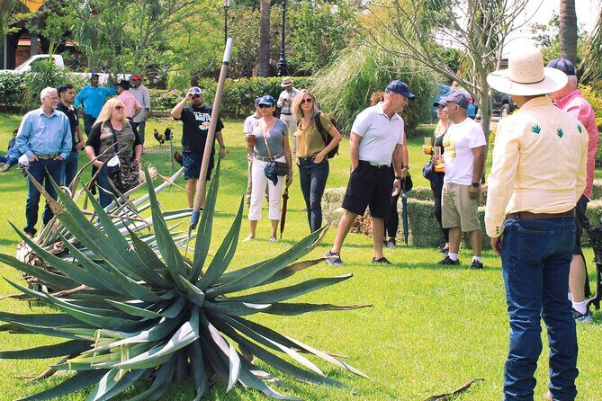 Private Tour one day in Los Guachimontones and Tequilera Cava de Oro - The Cantaritos Stop: Refreshing End to the Day