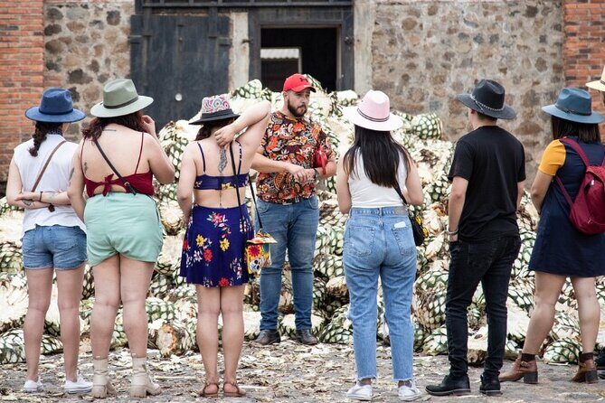 Private Tour one day in Los Guachimontones and Tequilera Cava de Oro - How the Experience Stacks Up