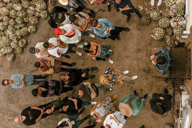 Private Tour one day of Adventure in Tequila and Tequilera Cascahuin - The Itinerary Breakdown: What to Expect on the Day