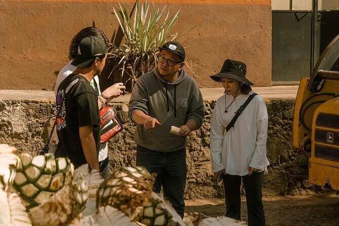 Private Tour one day of Adventure in Tequila and Tequilera Cascahuin - The Value in the Price