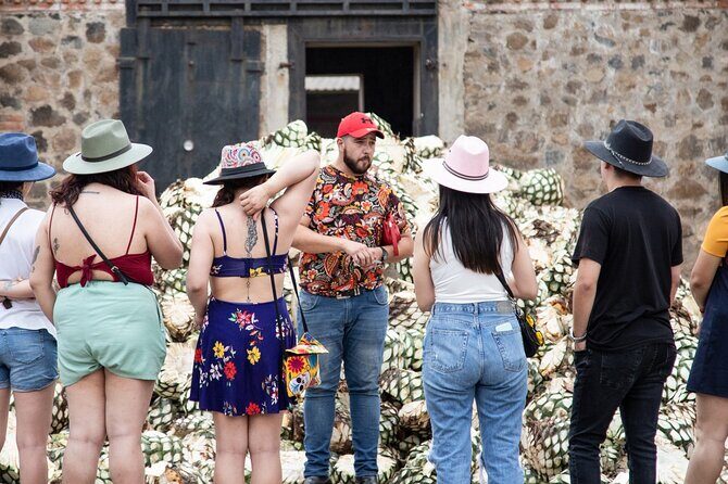 Private Tour one day of Adventure in the Guachimontones and Tequila Pueblo Mágico - Who Should Consider This Tour?